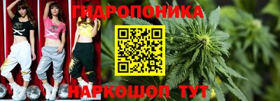 марки lsd Бийск