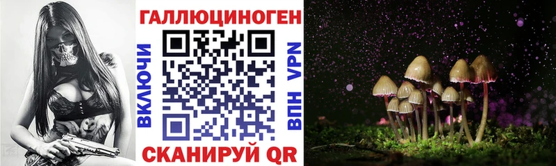 купить  цена  Донской  Псилоцибиновые грибы прущие грибы 