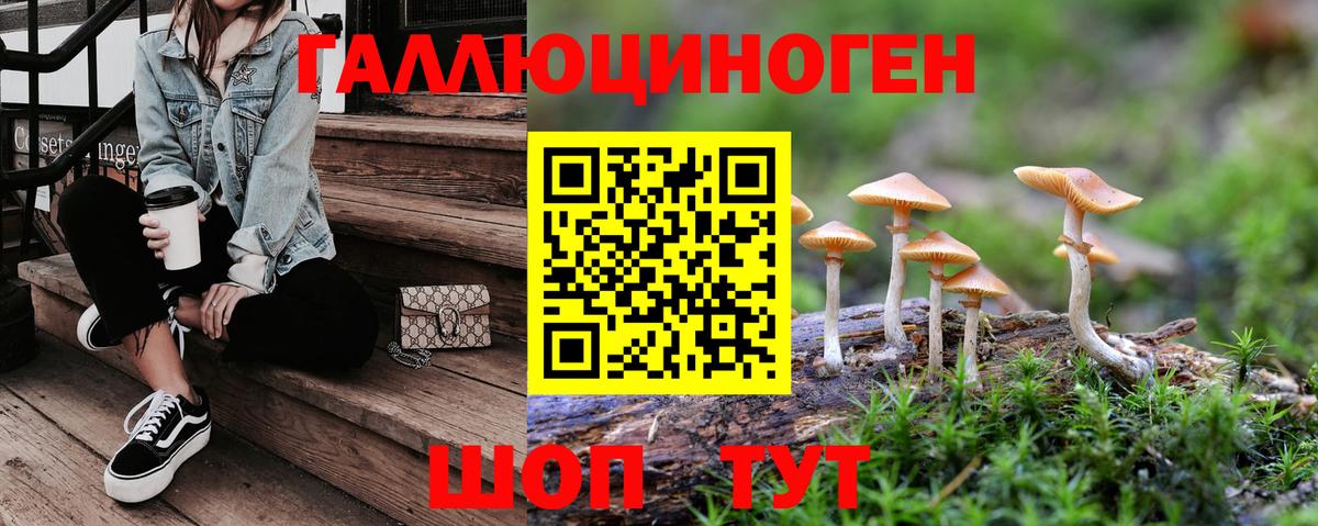 Псилоцибиновые грибы Magic Shrooms  Вход с VPN  Донской 