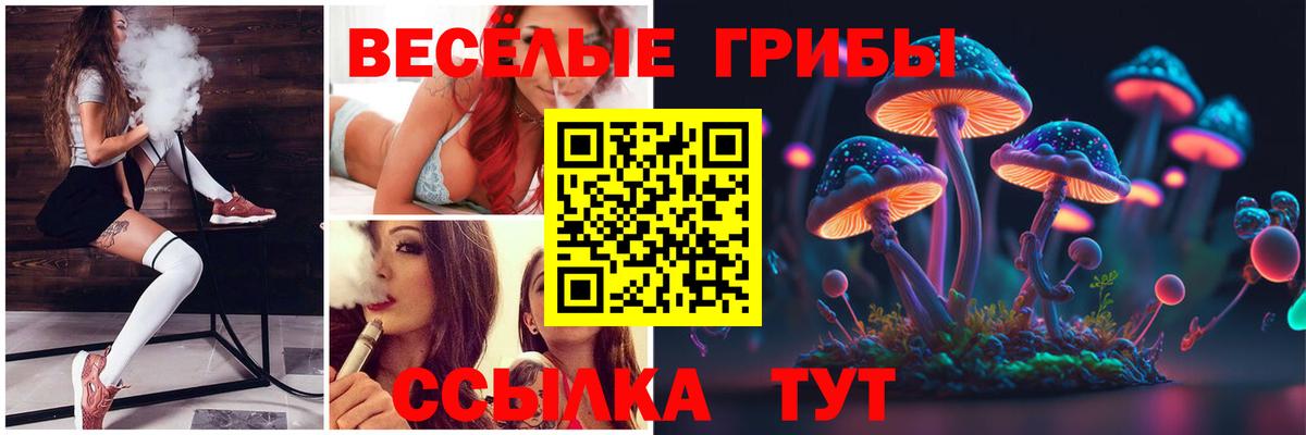 Псилоцибиновые грибы Cubensis Донской