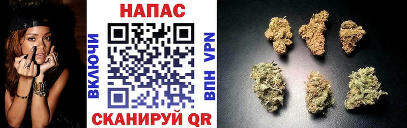 Бошки марихуана сатива  kraken tor  Донской 